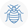 Bed Bug Extermination In Bloxwich